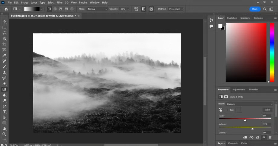 How to Convert an Image to Black and White in Photoshop: A Step-by-Step Guide